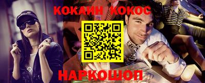 крисы Краснодар