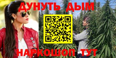 крисы Краснодар