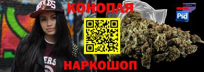 крисы Краснодар