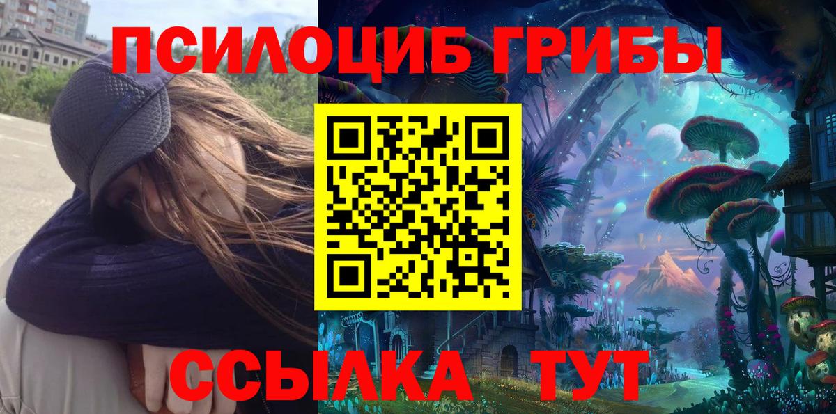 закладки  Вход с VPN  Кострома  Галлюциногенные грибы мицелий 
